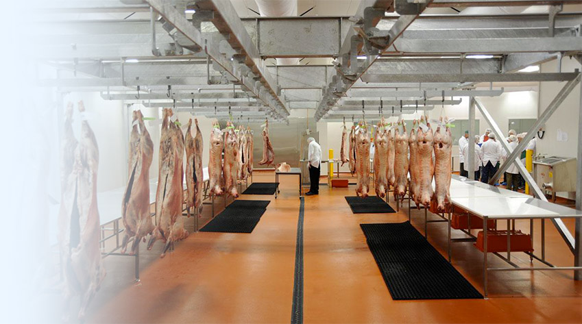 Мясное производство