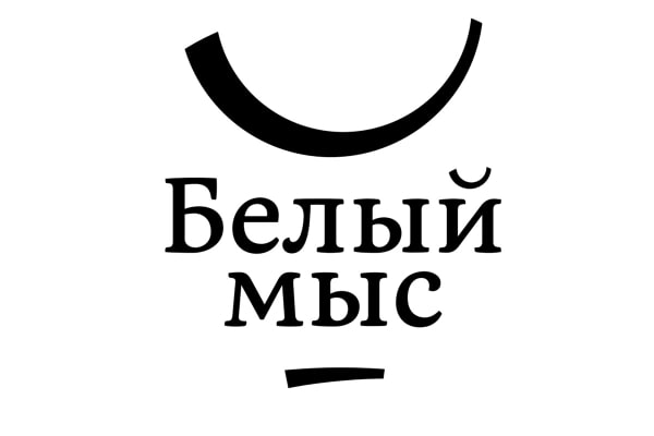 Логотип проекта будет легким и минималистичным и, как отметил Левицкий, будет соответствовать общей концепции.jpg