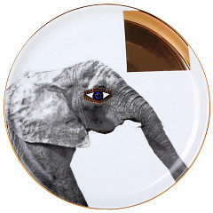 Тарелка мелкая Porland 20 см Wild Life Elephant (162920) в Москве , фото