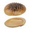 Салатник P.L. Proff Cuisine 365 мл 19*14,5 см h5 см Light Pearl Ammonite Shell Frutti di Mare (81241257) фото