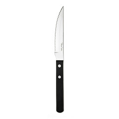 Нож для стейка Robert Welch Trattoria S5972SX056/TRABR1012L в Москве , фото