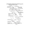 Пластина защитная внутренняя (нижний скребок) Foodatlas для JGL-120 фото