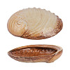 Салатник P.L. Proff Cuisine 365 мл 19*14,5 см h5 см Pearl Ammonite Shell Frutti di Mare (81241256) фото