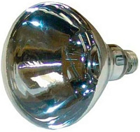 DHWD652 warmer bulb (250W, E27) фото
