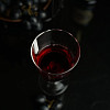 Бокал для вина P.L. Proff Cuisine 320 мл 